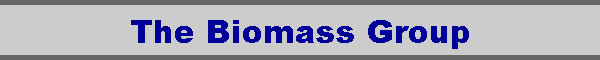 The Biomass Group