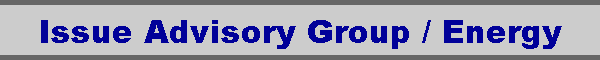 Issue Advisory Group / Energy