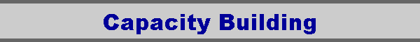 Capacity Building