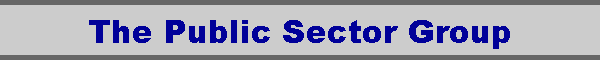 The Public Sector Group
