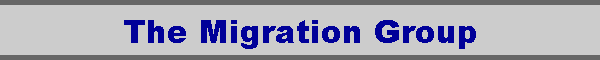 The Migration Group