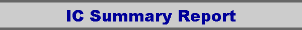 IC Summary Report