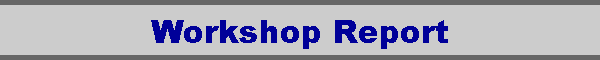 Workshop Report