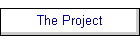 The Project