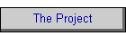 The Project