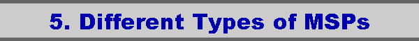 5. Different Types of MSPs