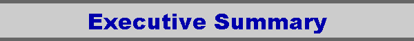 Executive Summary