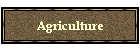 Agriculture