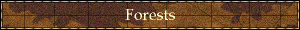 Forests
