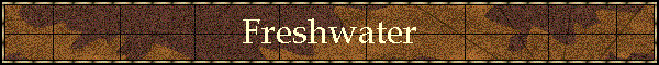 Freshwater