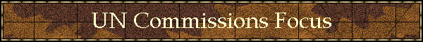 UN Commissions Focus