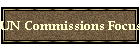 UN Commissions Focus